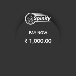 Payment 1000.00